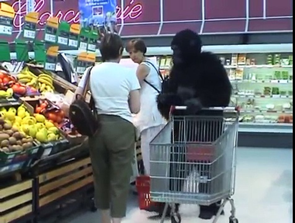 Gorilla (Rémi GAILLARD) BY place 2 Hina khan