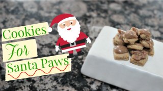 DIY Cookies for Santa Paws!