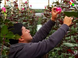 Commercial agreement signed between Ecuador and the UE