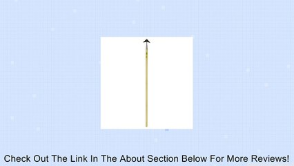 Winged Weeder Jr Review