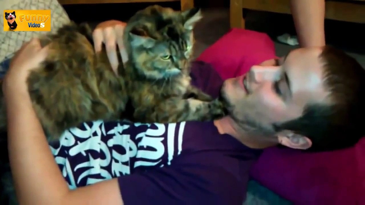 Funny 2014 Cats and Dogs Hate Kisses Compilation - HD -720p