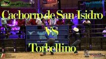 ¡¡¡EL TSUNAMI!!! Nuevo Toro Barbaro Rancho LA MISION // TORBELLINO vs CACHORRO DE SAN ISIDRO Rancho LA MISION vs GUERREROS DE OAXACA 2014