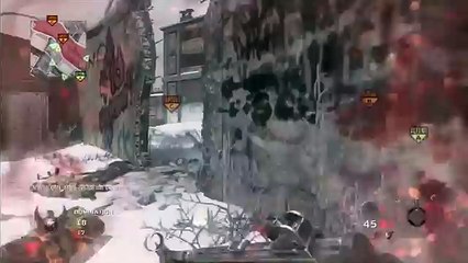 call of duty black ops 24 -0 flawless on berlin wall