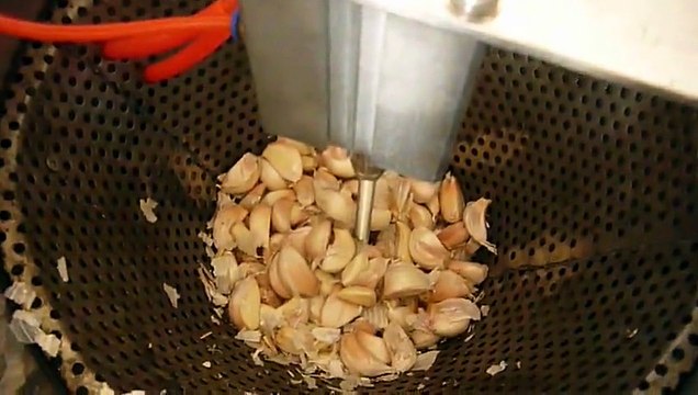 máy bóc vỏ tỏi khô, máy bóc vỏ tỏi ướt, máy lột vỏ tỏi, máy tách vỏ củ tỏi