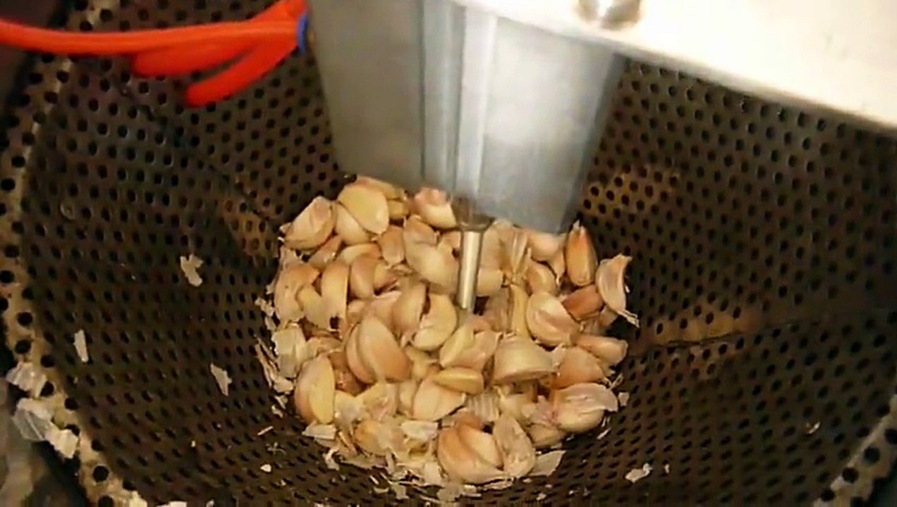 máy bóc vỏ tỏi khô, máy bóc vỏ tỏi ướt, máy lột vỏ tỏi, máy tách vỏ củ tỏi
