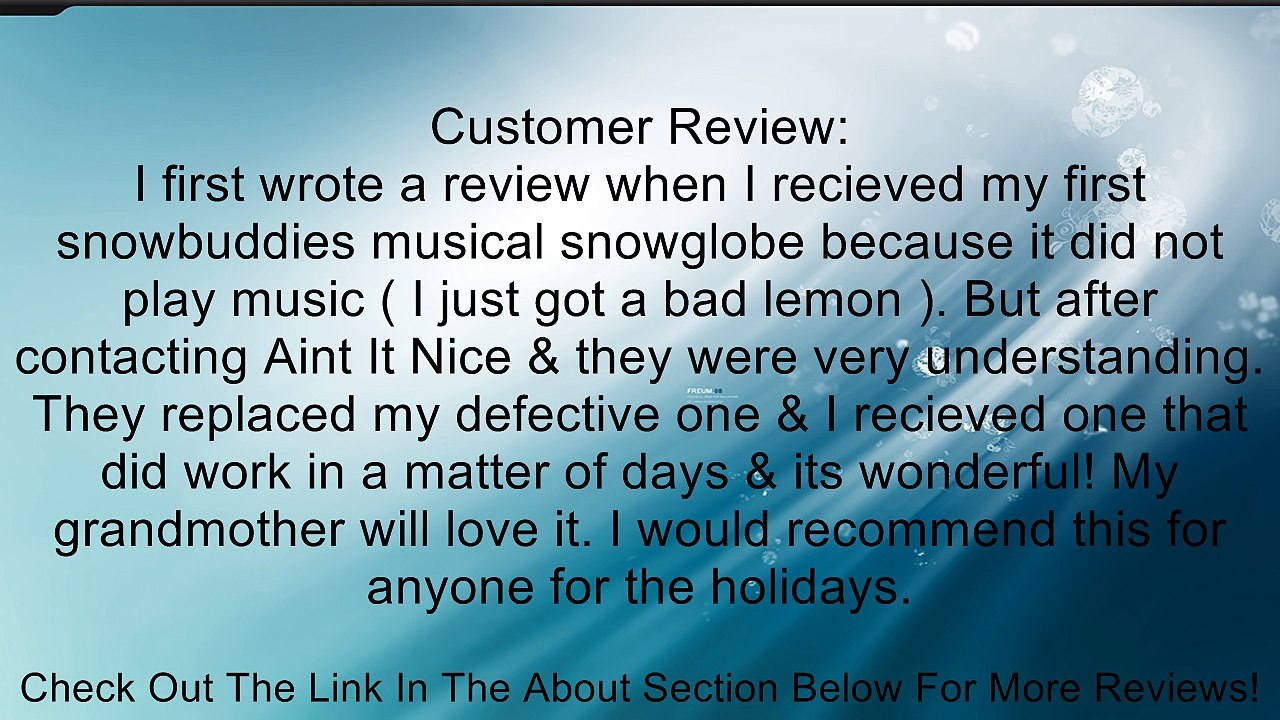 Snow Buddies Musical Snowglobe Review