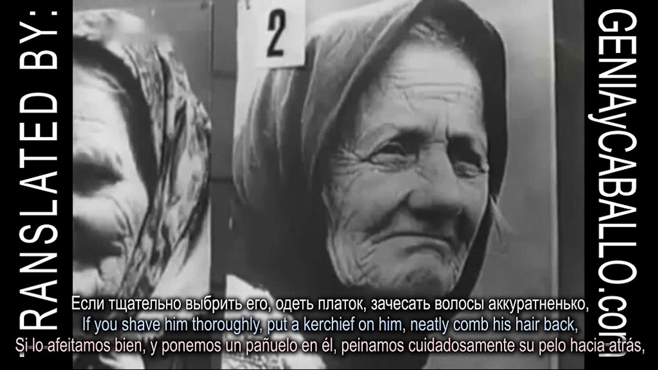 Social Experiment