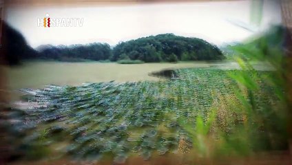 Más allá de la imagen - "Santa María", la versión islámica I