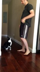 It s Funny   Best Kitty Hug Ever