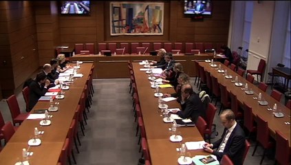 Audition de Mme Geneviève Fioraso, ministre - Mercredi 17 Décembre 2014