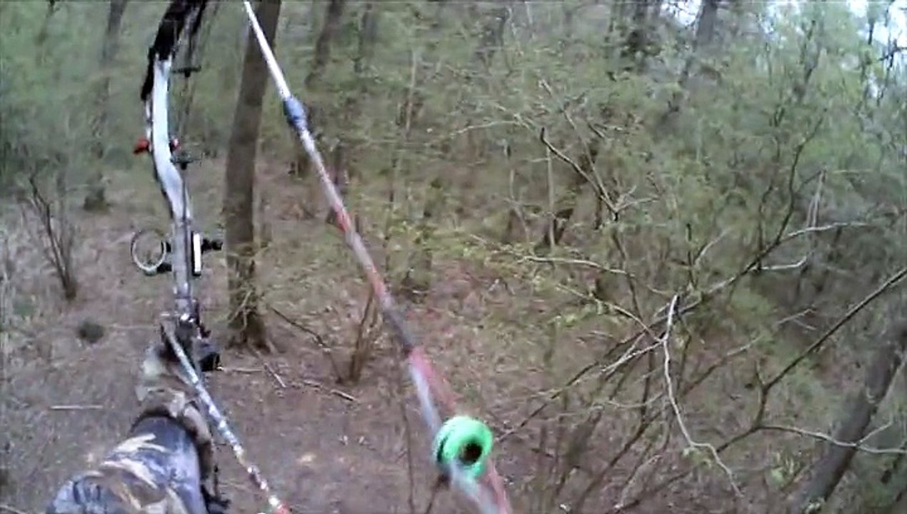 Une soirée d'affût à l'arc , soirée d'exception