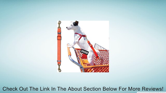 Shopping Cart Tether - Forest Green - Dog Tether for Shopping Carts Review