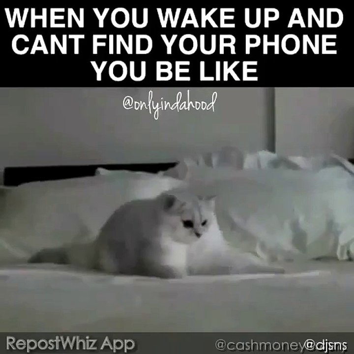 (115) Can't Find Your Phone