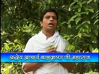 Health Benefits of Tejpatta (Cinnamomum tamala Nees) by "Acharya Balkrishna"