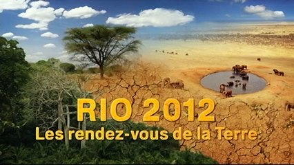 L'érosion côtière, ménace le tourisme balenaire et la pêche