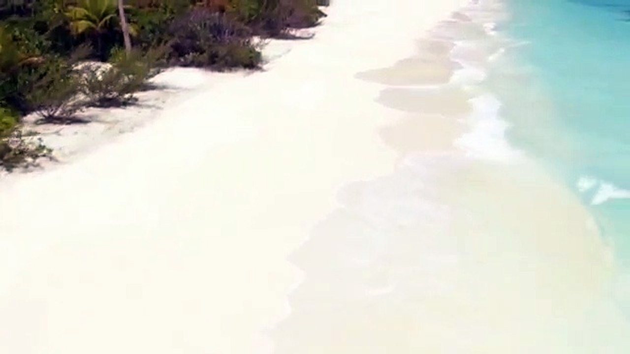 Dc Party Limo Bus Services | DC Limo Bus. DC Party Bus. DC Hummer Limo