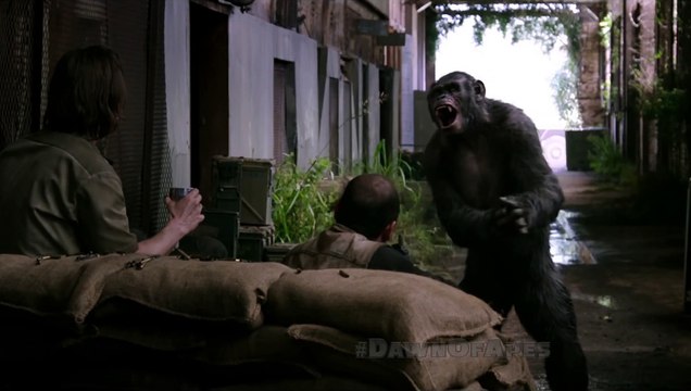 Dawn of the Planet of the Apes _ 'Koba' _ Clip HD