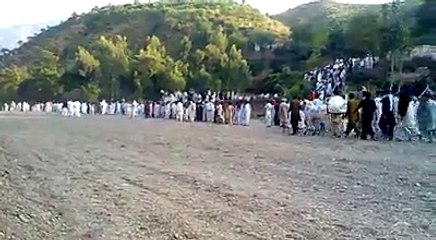 Ox(Bull) Race in Punjab Pakistan