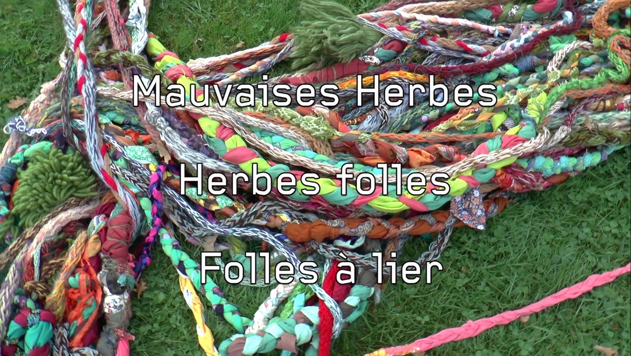 Maison des Arts : "Mauvaises herbes, herbes folles, folles à lier"