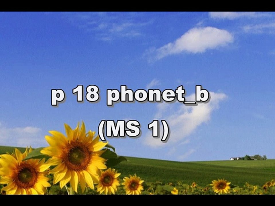 p 18 phonet b