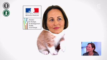 7 bonnes raisons de parler des arbres et des cheminées avec Ségolène Royal - C à vous - 17/12/2014