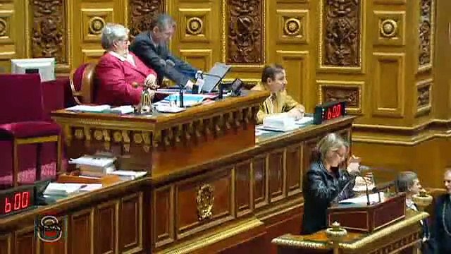 141216 Cécile Cukierman Sénat Loi NOTRe