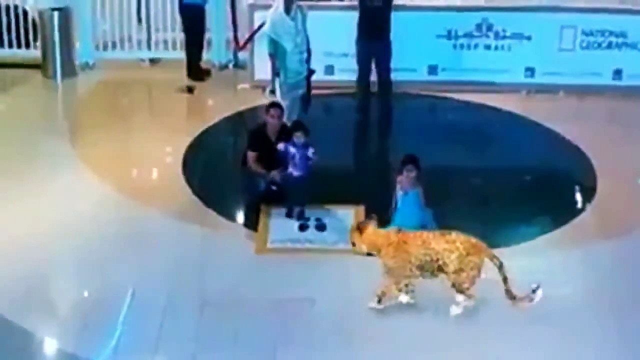 !!AMAZING!! 7D Hologram Technology Amazing Show in Dubai !!