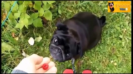 Epic Win_Fail Compilation of the Year 2014 - HD - FUNNY VideoS 2014 - 720p