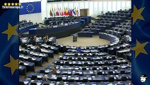 L'Europa aumenti le sanzioni per le violazioni delle norme sul trasporto degli animali - Moi M5S - MoVimento 5 Stelle Europa