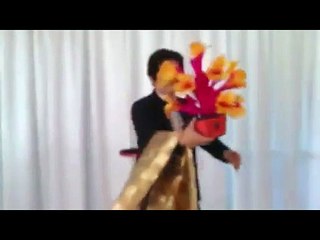 VANISHING VASE AND BOUQUET by DR. GERTES