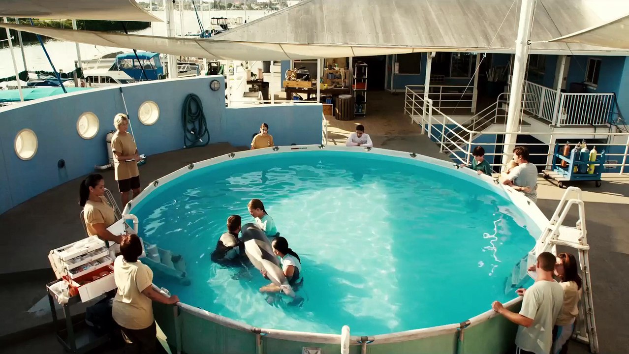 Dolphin Tale - Trailer #2