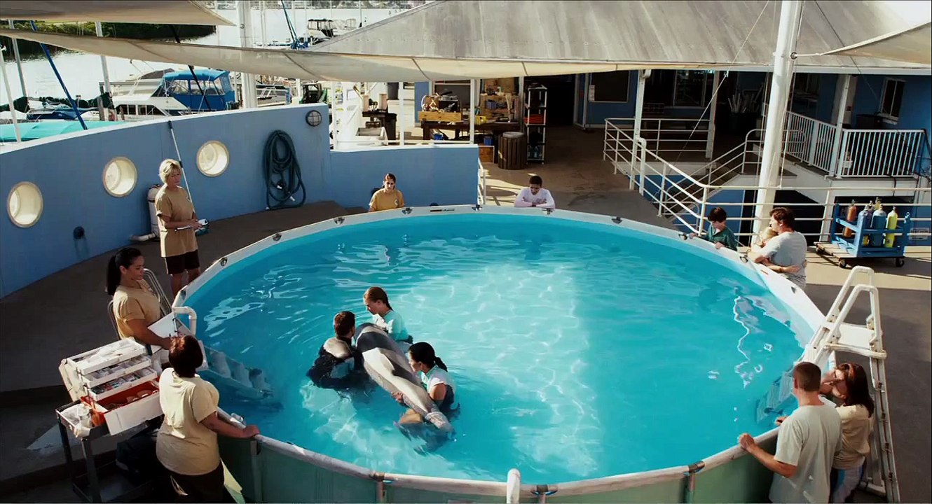 Dolphin Tale TV Spot Now Playing #1