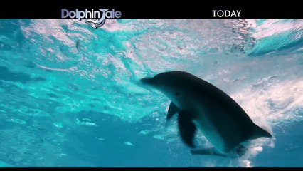 Dolphin Tale TV Spot Now Playing #5