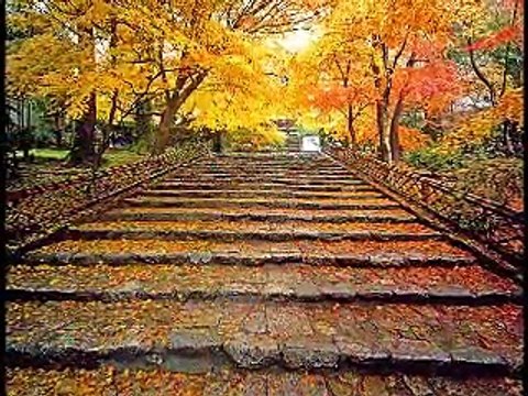 * * YİNE HAZAN MEVSİMİ GELDİ * *