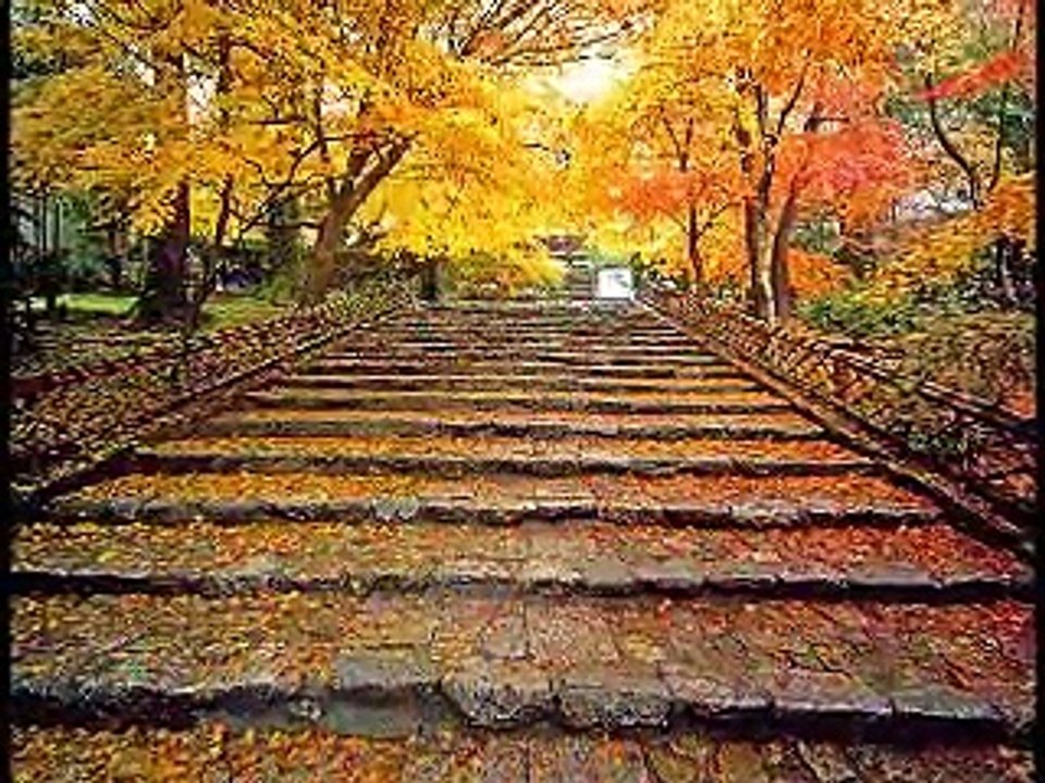 * *    YİNE HAZAN MEVSİMİ GELDİ   * *