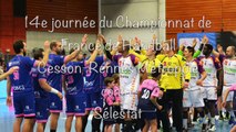 Handball : Cesson Rennes Métropole - Sélestat
