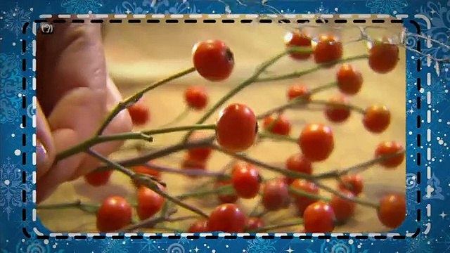 TV3 - Dissabte, a les 15.40, a TV3 - Especial Nadal, a Ja t'ho faràs