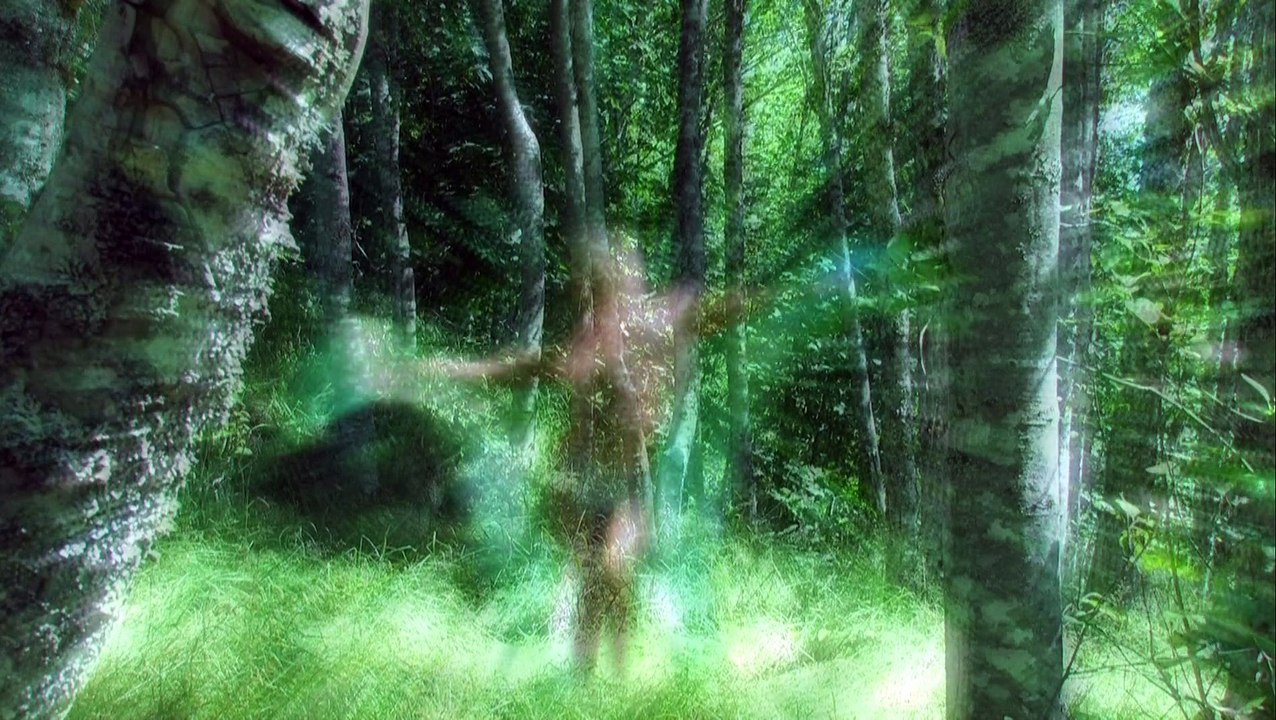 Forest Faerie