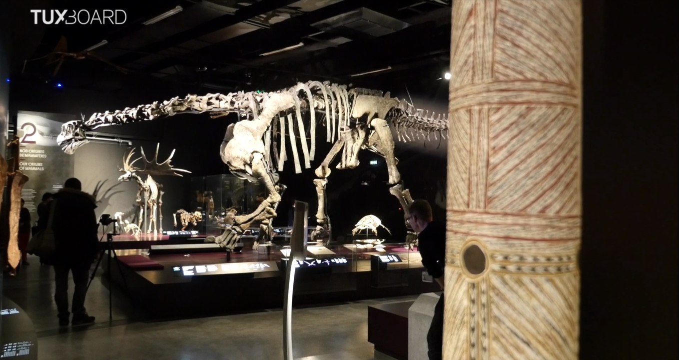 Musée des Confluences : visite guidée des expositions