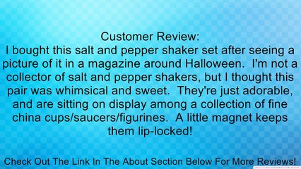 Zombie Monster And Bride Kissing Magnetic Salt and Pepper Shaker Set Review