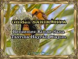 Gülden SARIKÂHYA *Benzemez Kimse Sana Tavrına Hayrân Olayım*