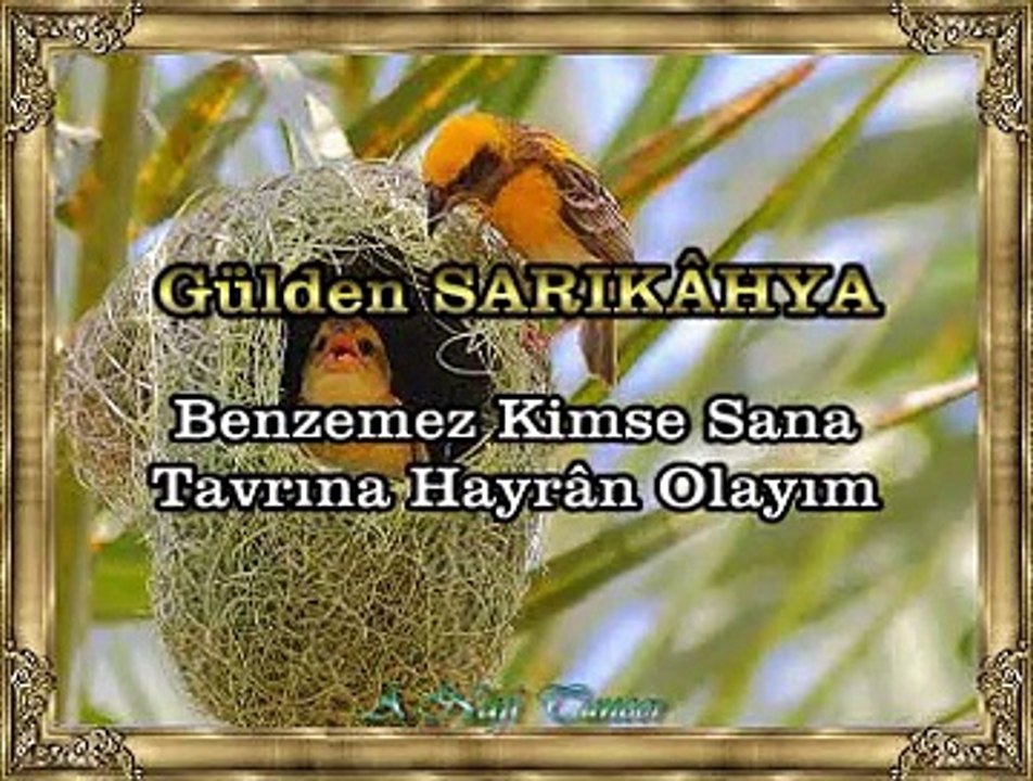 Gülden SARIKÂHYA *Benzemez Kimse Sana Tavrına Hayrân Olayım*