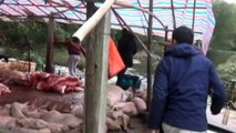 34 arrested over processing contaminated pig corpses