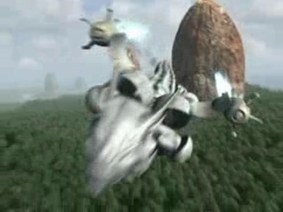 The hunt