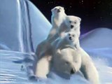 Publicité Coca-Cola avec les ours polaires