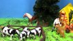 Happy Cute Animals toys Farm Pets Sheeps,Felices lindos juguetes Animales Granja Animales ovejas,