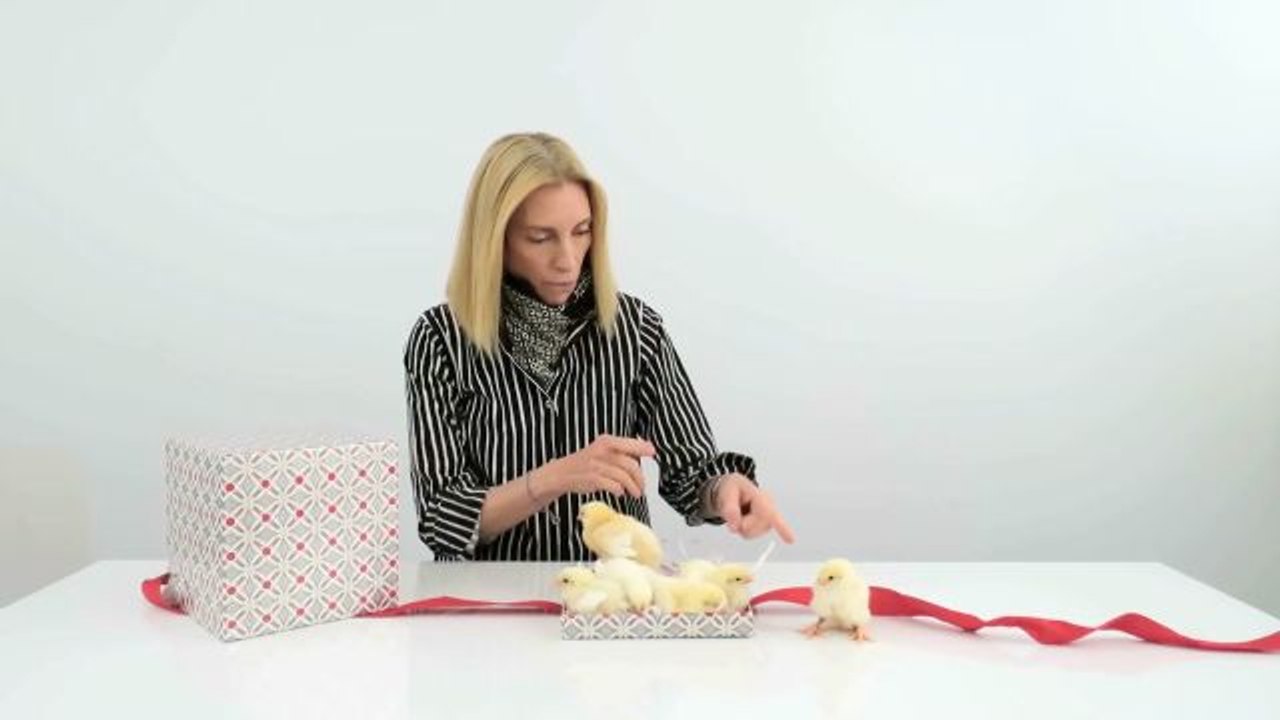 Vogue Diaries - Chicks on Parade: Tonne Goodman Unboxes a Gift That Keeps on Giving