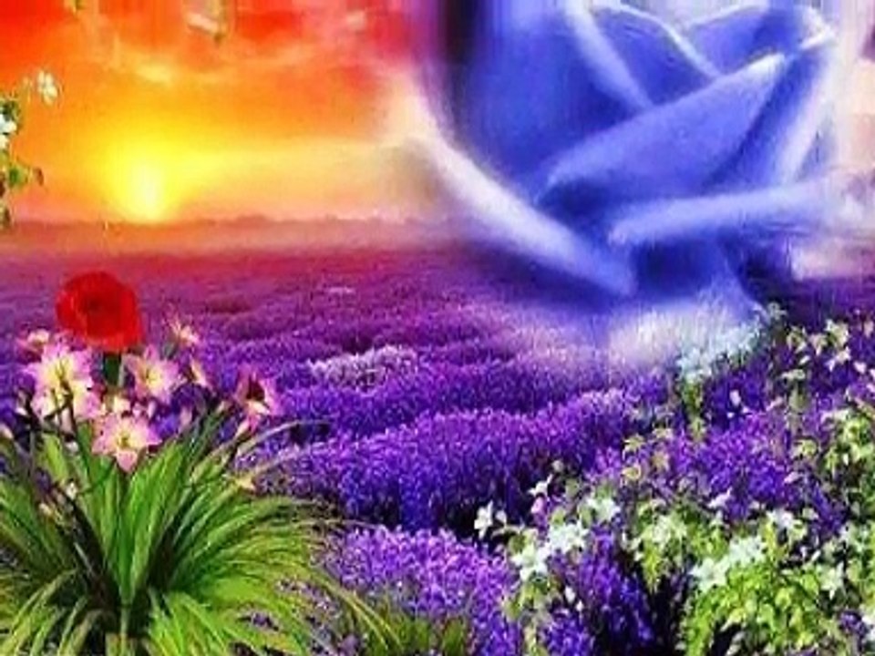 Adagio  Jean-Claude Borelly