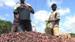 Afrique, Revenus tirés de l'industrie chocolatière