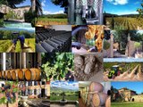 BLUE SIDE - Spécialiste achat vente propriété domaine viticole - à vendre Provence Var Bouches du Rhône
